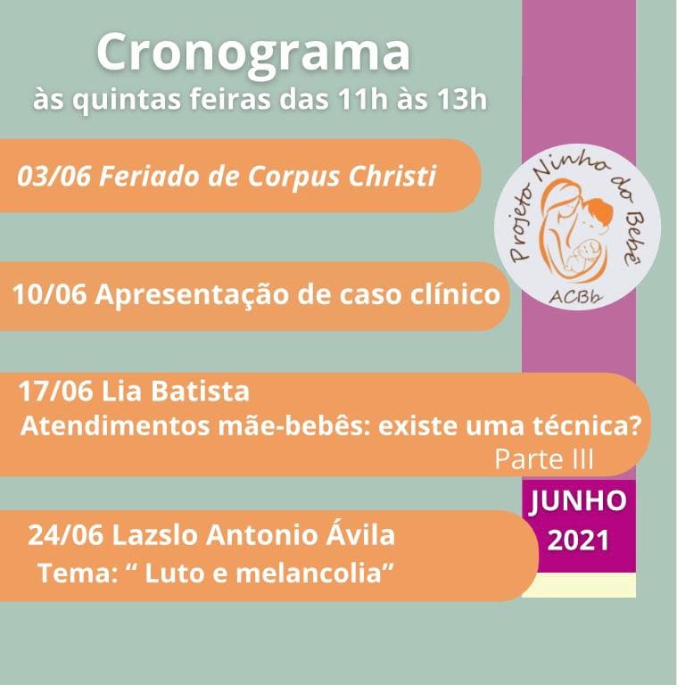 Cronograma do mês de Junho do grupo de estudos Projeto Ninho do Bebê