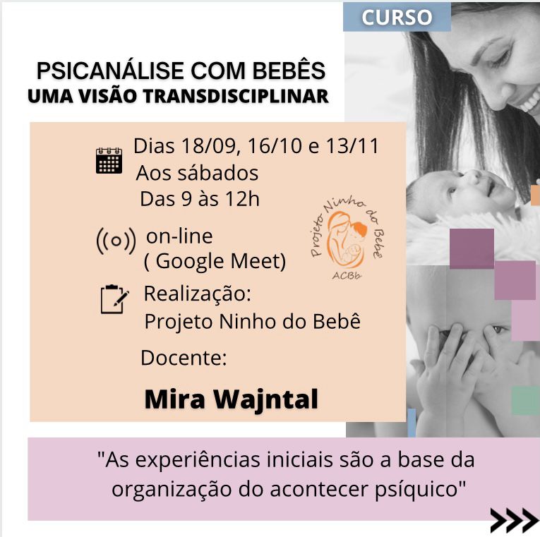 Psicanálise com Bebês curso